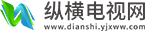纵横电视网